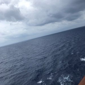 Meet your Posher, Tyesha